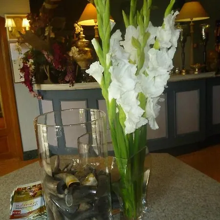 Chalet Sur Lesse Hotel 3*
